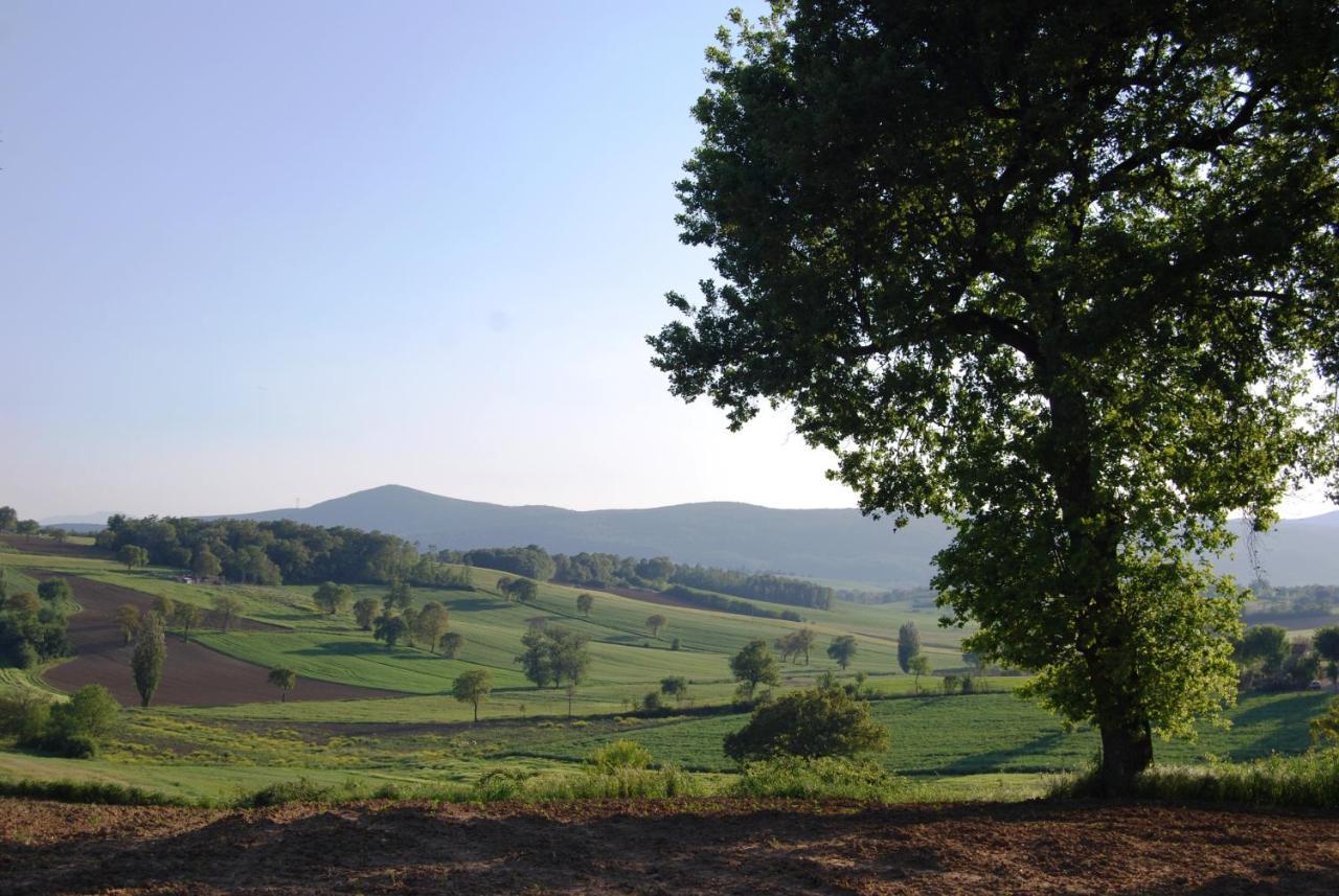Casa Verdi Colli Montecastrilli Buitenkant foto