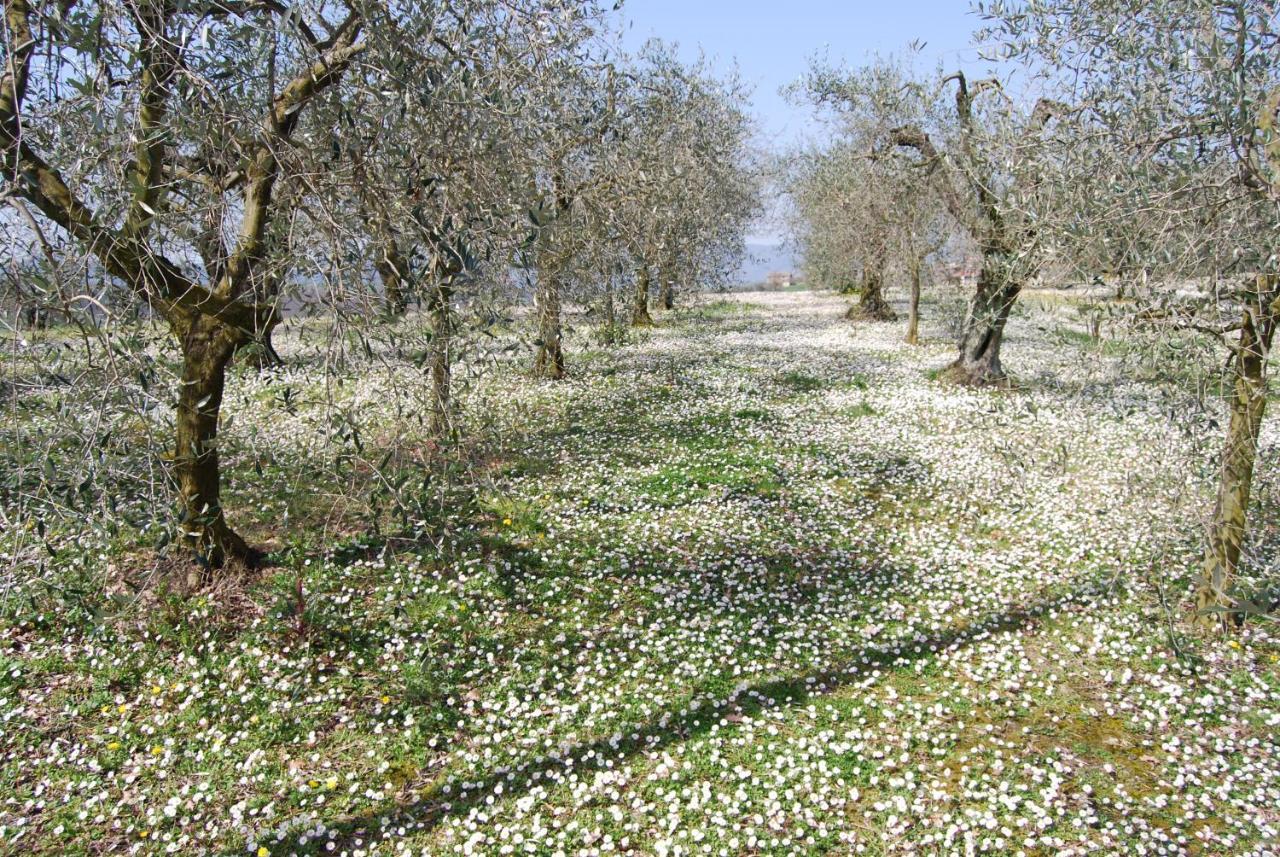 Casa Verdi Colli Montecastrilli Buitenkant foto